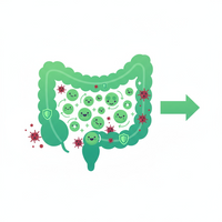 STEP 3: L. acidophilus repopulates good bacteria →  Crowds out gas-producers
